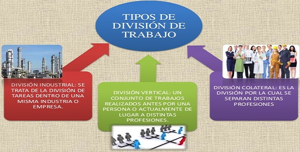 division del trabajo