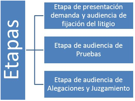 juicio contencioso-administrativo