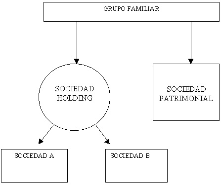 sociedades de mera tenencia de bienes